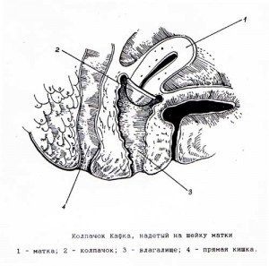 & lt; h1 & gt; Cuánto tiempo no terminar un hombre: técnicas y ejercicios efectivos & lt; / h1 & gt;