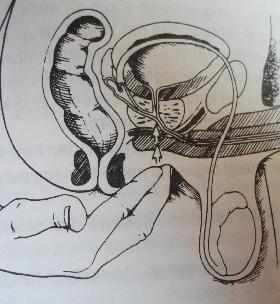 & lt; h1 & gt; 5 razones para elegir genéricos & lt; / h1 & gt;